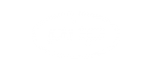 Desenvolvedor em php